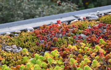 the cost of West Felton green roof installation